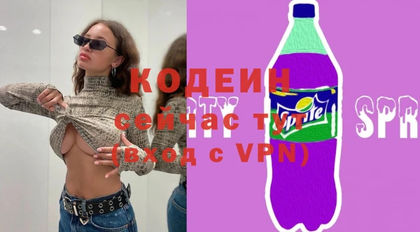 стаф Елизово