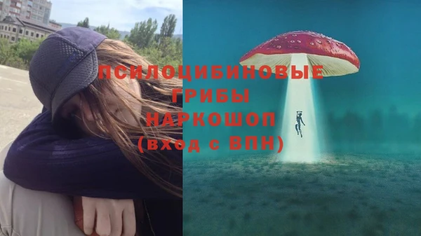прущие грибы Баксан