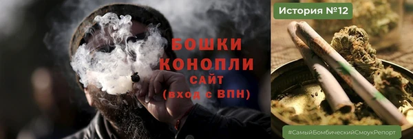 прущие грибы Баксан