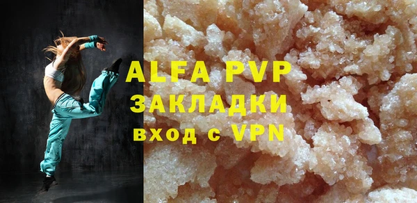 прущие грибы Баксан
