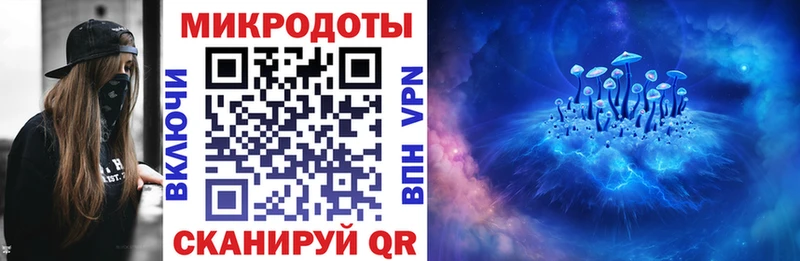 Галлюциногенные грибы Psilocybe  Лесосибирск 